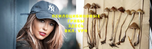 PSILOCYBIN Баксан