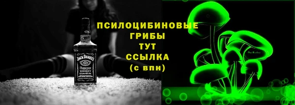 PSILOCYBIN Баксан
