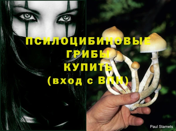 хмурый Балабаново